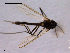  ( - CH-OSF154)  @13 [ ] CreativeCommons - Attribution Non-Commercial Share-Alike (2011) NTNU Museum of Natural History and Archaeology NTNU Museum of Natural History and Archaeology