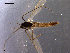  ( - CH-OSF53)  @13 [ ] CreativeCommons - Attribution Non-Commercial Share-Alike (2011) NTNU Museum of Natural History and Archaeology NTNU Museum of Natural History and Archaeology