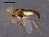  ( - CH-OSF77)  @13 [ ] CreativeCommons - Attribution Non-Commercial Share-Alike (2011) NTNU Museum of Natural History and Archaeology NTNU Museum of Natural History and Archaeology