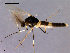  ( - CH-OSF98)  @13 [ ] CreativeCommons - Attribution Non-Commercial Share-Alike (2011) NTNU Museum of Natural History and Archaeology NTNU Museum of Natural History and Archaeology