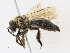  ( - BL-O-Y-1)  @11 [ ] CreativeCommons - Attribution Share-Alike (2023) CBG Photography Group Centre for Biodiversity Genomics