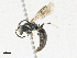  ( - BS2-E-S-1)  @11 [ ] CreativeCommons - Attribution Share-Alike (2023) CBG Photography Group Centre for Biodiversity Genomics