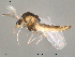  ( - Finnmark414)  @13 [ ] CreativeCommons - Attribution Non-Commercial Share-Alike (2012) NTNU Museum of Natural History and Archaeology NTNU Museum of Natural History and Archaeology