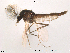  ( - Finnmark423)  @14 [ ] CreativeCommons - Attribution Non-Commercial Share-Alike (2012) NTNU Museum of Natural History and Archaeology NTNU Museum of Natural History and Archaeology