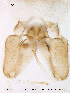  ( - Finnmark458)  @12 [ ] CreativeCommons - Attribution Non-Commercial Share-Alike (2012) NTNU Museum of Natural History and Archaeology NTNU Museum of Natural History and Archaeology