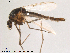  ( - Finnmark461)  @13 [ ] CreativeCommons - Attribution Non-Commercial Share-Alike (2012) NTNU Museum of Natural History and Archaeology NTNU Museum of Natural History and Archaeology