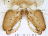  ( - Finnmark462)  @12 [ ] CreativeCommons - Attribution Non-Commercial Share-Alike (2012) NTNU Museum of Natural History and Archaeology NTNU Museum of Natural History and Archaeology