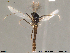  ( - Finnmark476)  @12 [ ] CreativeCommons - Attribution Non-Commercial Share-Alike (2012) NTNU Museum of Natural History and Archaeology NTNU Museum of Natural History and Archaeology