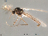  ( - Finnmark480)  @12 [ ] CreativeCommons - Attribution Non-Commercial Share-Alike (2012) NTNU Museum of Natural History and Archaeology NTNU Museum of Natural History and Archaeology