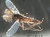  ( - Finnmark490)  @13 [ ] CreativeCommons - Attribution Non-Commercial Share-Alike (2012) NTNU Museum of Natural History and Archaeology NTNU Museum of Natural History and Archaeology