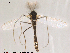  ( - Finnmark492)  @12 [ ] CreativeCommons - Attribution Non-Commercial Share-Alike (2012) NTNU Museum of Natural History and Archaeology NTNU Museum of Natural History and Archaeology
