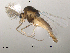  ( - Finnmark518)  @13 [ ] CreativeCommons - Attribution Non-Commercial Share-Alike (2012) NTNU Museum of Natural History and Archaeology NTNU Museum of Natural History and Archaeology