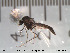  ( - Finnmark551)  @14 [ ] CreativeCommons - Attribution Non-Commercial Share-Alike (2012) NTNU Museum of Natural History and Archaeology NTNU Museum of Natural History and Archaeology