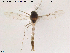  ( - Finnmark568)  @13 [ ] CreativeCommons - Attribution Non-Commercial Share-Alike (2012) NTNU Museum of Natural History and Archaeology NTNU Museum of Natural History and Archaeology