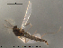 ( - Finnmark570)  @13 [ ] CreativeCommons - Attribution Non-Commercial Share-Alike (2012) NTNU Museum of Natural History and Archaeology NTNU Museum of Natural History and Archaeology