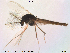  ( - Finnmark574)  @13 [ ] CreativeCommons - Attribution Non-Commercial Share-Alike (2012) NTNU Museum of Natural History and Archaeology NTNU Museum of Natural History and Archaeology