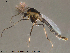  ( - Finnmark580)  @13 [ ] CreativeCommons - Attribution Non-Commercial Share-Alike (2012) NTNU Museum of Natural History and Archaeology NTNU Museum of Natural History and Archaeology