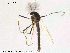  ( - Finnmark581)  @13 [ ] CreativeCommons - Attribution Non-Commercial Share-Alike (2012) NTNU Museum of Natural History and Archaeology NTNU Museum of Natural History and Archaeology