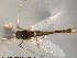  ( - Finnmark582)  @13 [ ] CreativeCommons - Attribution Non-Commercial Share-Alike (2012) NTNU Museum of Natural History and Archaeology NTNU Museum of Natural History and Archaeology