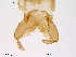  ( - Finnmark605)  @12 [ ] CreativeCommons - Attribution Non-Commercial Share-Alike (2012) NTNU Museum of Natural History and Archaeology NTNU Museum of Natural History and Archaeology