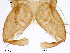  ( - Finnmark611)  @12 [ ] CreativeCommons - Attribution Non-Commercial Share-Alike (2012) NTNU Museum of Natural History and Archaeology NTNU Museum of Natural History and Archaeology