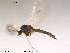  ( - Finnmark612)  @12 [ ] CreativeCommons - Attribution Non-Commercial Share-Alike (2012) NTNU Museum of Natural History and Archaeology NTNU Museum of Natural History and Archaeology