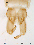  ( - Finnmark634)  @12 [ ] CreativeCommons - Attribution Non-Commercial Share-Alike (2012) NTNU Museum of Natural History and Archaeology NTNU Museum of Natural History and Archaeology