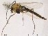  ( - Finnmark636)  @13 [ ] CreativeCommons - Attribution Non-Commercial Share-Alike (2012) NTNU Museum of Natural History and Archaeology NTNU Museum of Natural History and Archaeology