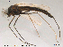  ( - Finnmark645)  @12 [ ] CreativeCommons - Attribution Non-Commercial Share-Alike (2012) NTNU Museum of Natural History and Archaeology NTNU Museum of Natural History and Archaeology