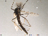  ( - Finnmark652)  @13 [ ] CreativeCommons - Attribution Non-Commercial Share-Alike (2012) NTNU Museum of Natural History and Archaeology NTNU Museum of Natural History and Archaeology