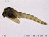 ( - Finnmark821)  @12 [ ] CreativeCommons - Attribution Non-Commercial Share-Alike (2014) NTNU University Museum, Department of Natural History NTNU University Museum, Department of Natural History