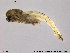  ( - Finnmark835)  @13 [ ] CreativeCommons - Attribution Non-Commercial Share-Alike (2014) NTNU University Museum, Department of Natural History NTNU University Museum, Department of Natural History