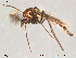  ( - Finnmark101)  @14 [ ] CreativeCommons - Attribution Non-Commercial Share-Alike (2012) NTNU Museum of Natural History and Archaeology NTNU Museum of Natural History and Archaeology