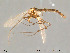  ( - Finnmark158)  @13 [ ] CreativeCommons - Attribution Non-Commercial Share-Alike (2012) NTNU Museum of Natural History and Archaeology NTNU Museum of Natural History and Archaeology