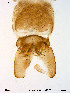  ( - Finnmark192)  @12 [ ] CreativeCommons - Attribution Non-Commercial Share-Alike (2012) NTNU Museum of Natural History and Archaeology NTNU Museum of Natural History and Archaeology