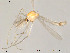  ( - Finnmark216)  @13 [ ] CreativeCommons - Attribution Non-Commercial Share-Alike (2012) NTNU Museum of Natural History and Archaeology NTNU Museum of Natural History and Archaeology