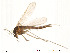  ( - Finnmark217)  @13 [ ] CreativeCommons - Attribution Non-Commercial Share-Alike (2012) NTNU Museum of Natural History and Archaeology NTNU Museum of Natural History and Archaeology