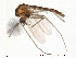  ( - Finnmark218)  @13 [ ] CreativeCommons - Attribution Non-Commercial Share-Alike (2012) NTNU Museum of Natural History and Archaeology NTNU Museum of Natural History and Archaeology