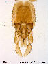  ( - Finnmark226)  @12 [ ] CreativeCommons - Attribution Non-Commercial Share-Alike (2012) NTNU Museum of Natural History and Archaeology NTNU Museum of Natural History and Archaeology