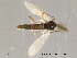  ( - Finnmark24)  @13 [ ] CreativeCommons - Attribution Non-Commercial Share-Alike (2012) NTNU Museum of Natural History and Archaeology NTNU Museum of Natural History and Archaeology