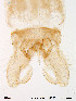  ( - Finnmark250)  @12 [ ] CreativeCommons - Attribution Non-Commercial Share-Alike (2012) NTNU Museum of Natural History and Archaeology NTNU Museum of Natural History and Archaeology