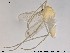  ( - Finnmark264)  @12 [ ] CreativeCommons - Attribution Non-Commercial Share-Alike (2015) NTNU University Museum, Department of Natural History NTNU University Museum, Department of Natural History