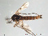  ( - Finnmark272)  @13 [ ] CreativeCommons - Attribution Non-Commercial Share-Alike (2012) NTNU Museum of Natural History and Archaeology NTNU Museum of Natural History and Archaeology