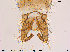  ( - Finnmark279)  @12 [ ] CreativeCommons - Attribution Non-Commercial Share-Alike (2015) NTNU University Museum, Department of Natural History NTNU University Museum, Department of Natural History