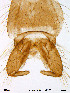  ( - Finnmark286)  @13 [ ] CreativeCommons - Attribution Non-Commercial Share-Alike (2012) NTNU Museum of Natural History and Archaeology NTNU Museum of Natural History and Archaeology