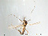  ( - Finnmark310)  @13 [ ] CreativeCommons - Attribution Non-Commercial Share-Alike (2012) NTNU Museum of Natural History and Archaeology NTNU Museum of Natural History and Archaeology