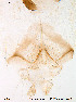  ( - Finnmark315)  @12 [ ] CreativeCommons - Attribution Non-Commercial Share-Alike (2012) NTNU Museum of Natural History and Archaeology NTNU Museum of Natural History and Archaeology