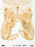  ( - Finnmark328)  @12 [ ] CreativeCommons - Attribution Non-Commercial Share-Alike (2012) NTNU Museum of Natural History and Archaeology NTNU Museum of Natural History and Archaeology