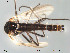  ( - Finnmark384)  @12 [ ] CreativeCommons - Attribution Non-Commercial Share-Alike (2012) NTNU Museum of Natural History and Archaeology NTNU Museum of Natural History and Archaeology