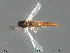  ( - Finnmark392)  @12 [ ] CreativeCommons - Attribution Non-Commercial Share-Alike (2012) NTNU Museum of Natural History and Archaeology NTNU Museum of Natural History and Archaeology